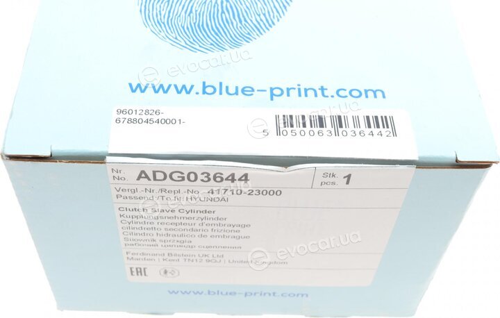 Blue Print ADG03644