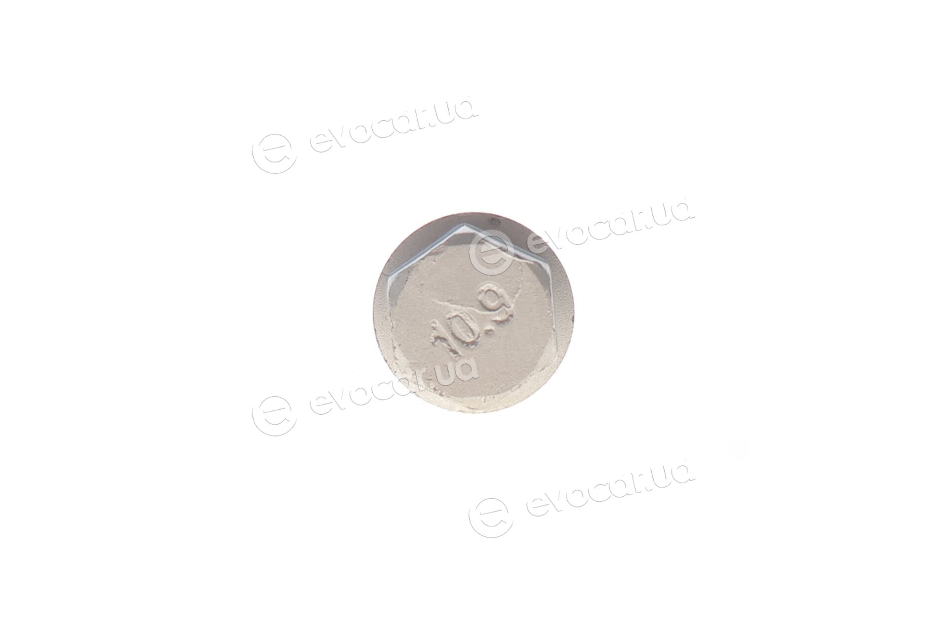 Solgy 204194
