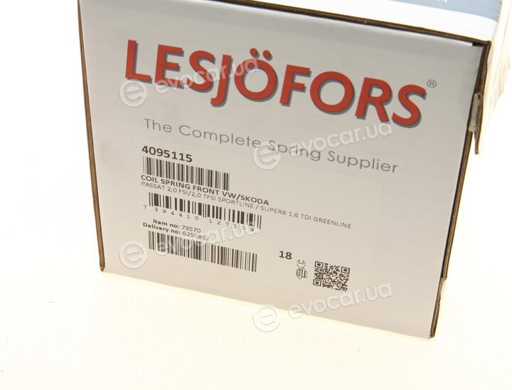 Lesjofors 4095115