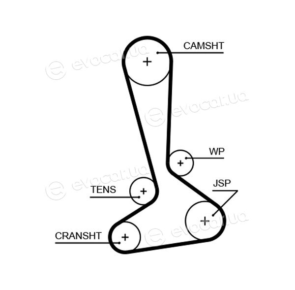 Gates K015645XS