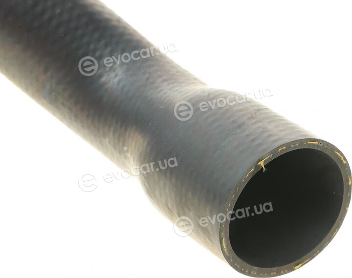 Solgy 114097