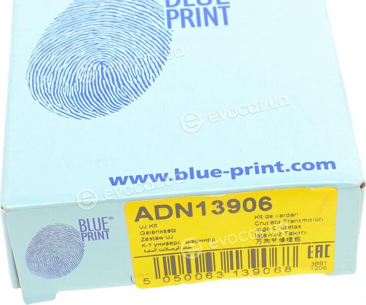 Blue Print ADN13906