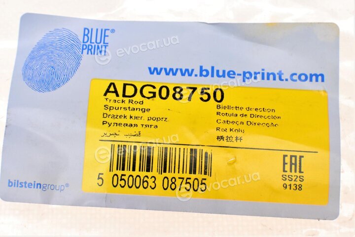 Blue Print ADG08750