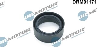 Dr. Motor DRM01171