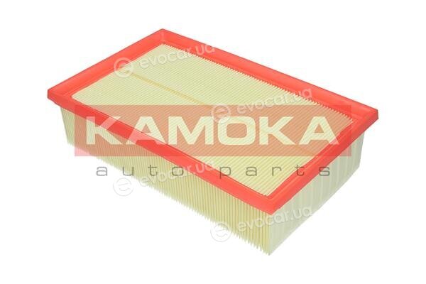Kamoka F229901