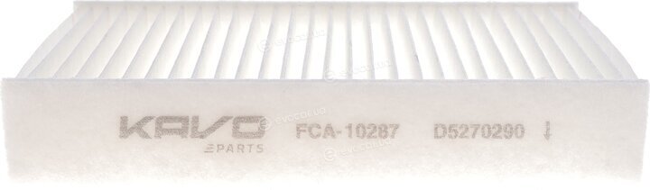 AMC FCA-10287