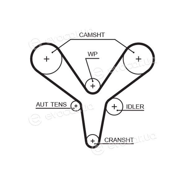 Gates K015527XS