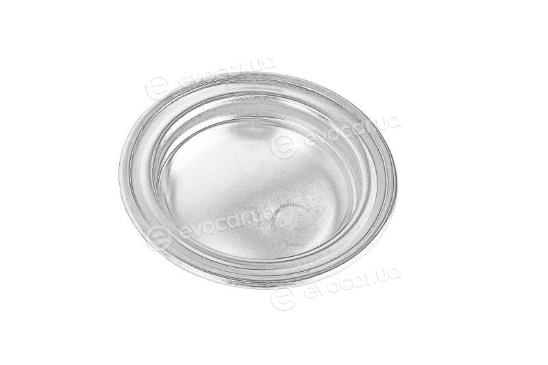 Mopar (PSA / FCA) 55182787