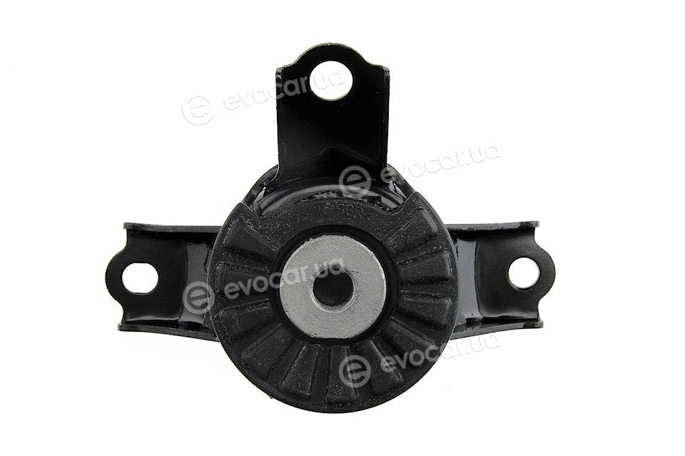 NTY ZPS-DA-001