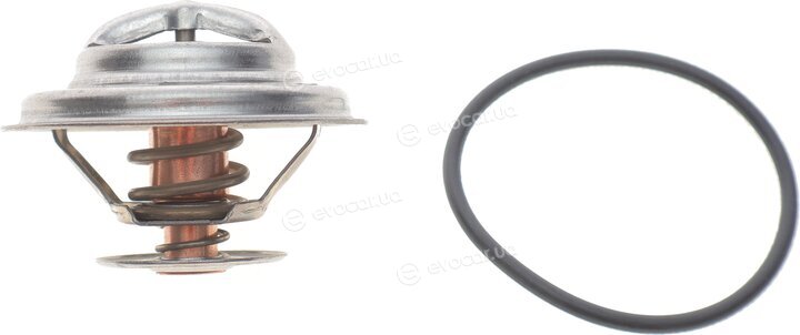 Motorad 304-84K