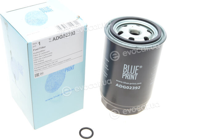 Blue Print ADG02392
