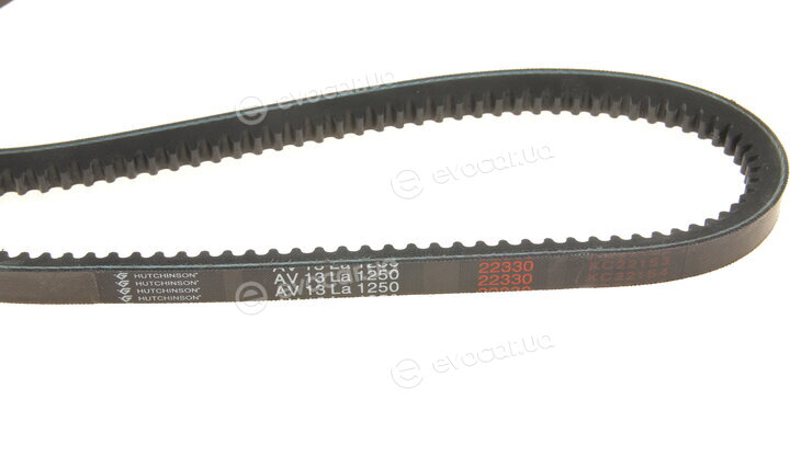 Hutchinson AV 13 La 1250