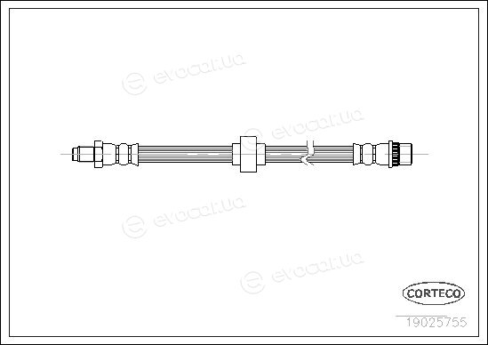 Corteco 19025755
