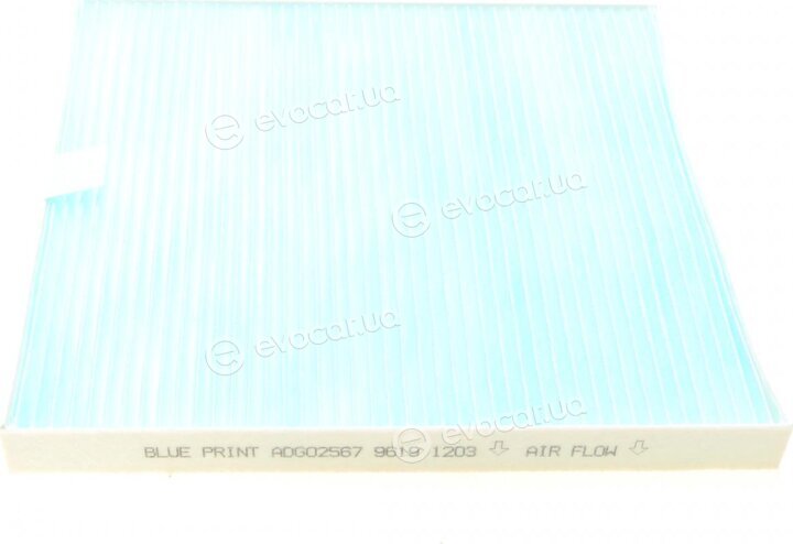 Blue Print ADG02567