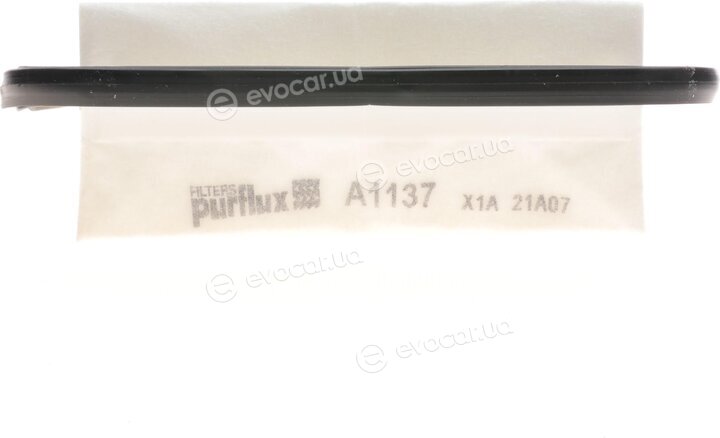 Purflux A1137