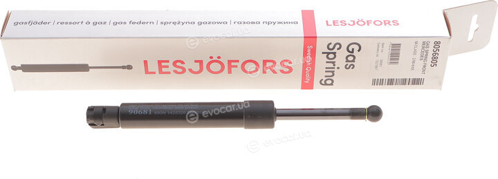 Lesjofors 8056805