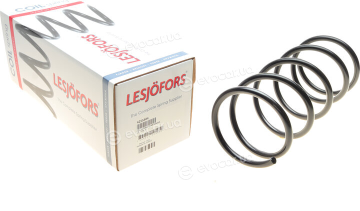 Lesjofors 4255404