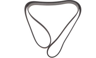 Dayco 6PK1842