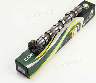 BGA CS3594