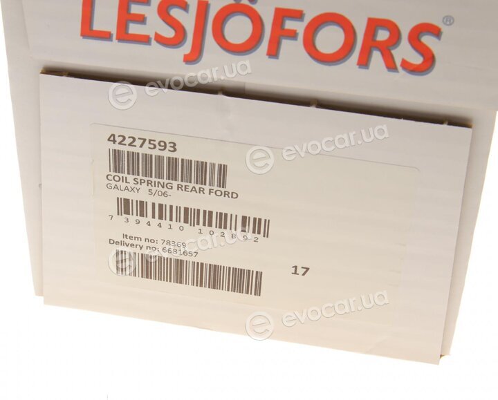 Lesjofors 4227593