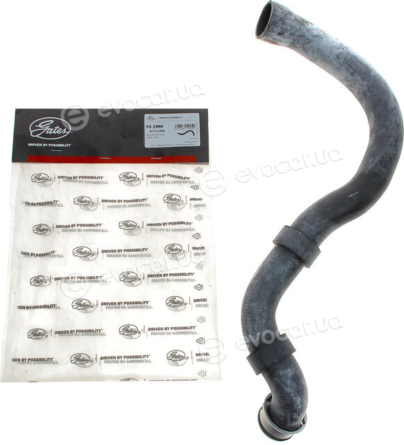 Gates 05-2986