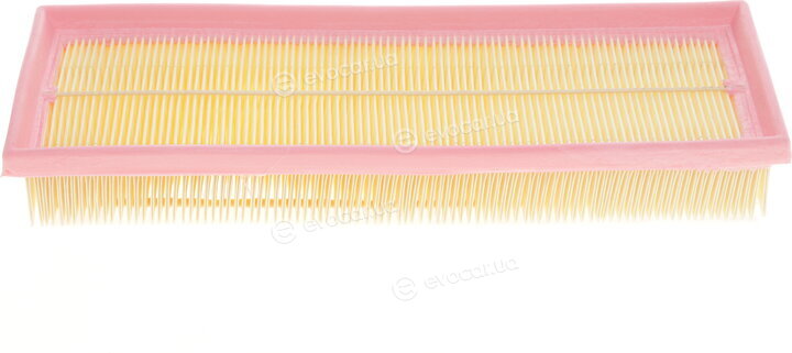 Solgy 103032