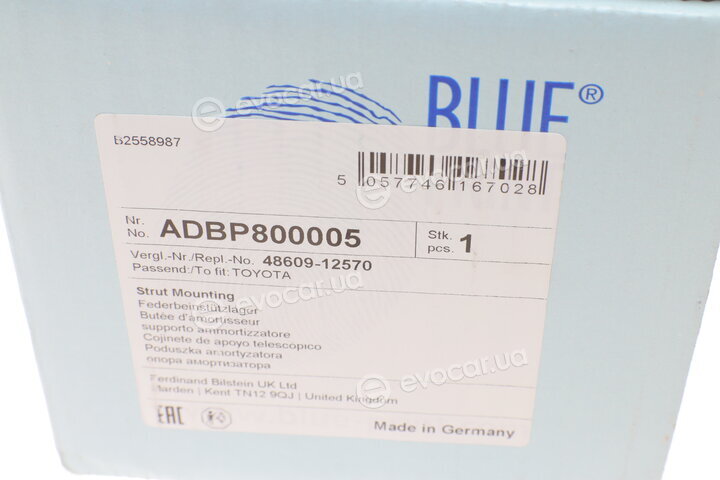 Blue Print ADBP800005