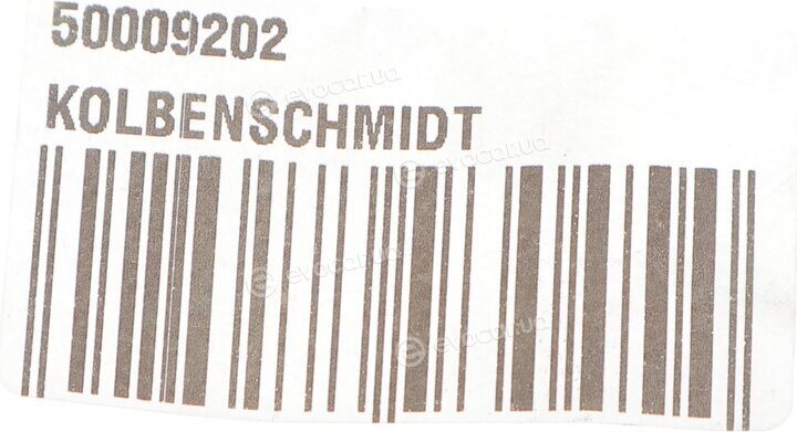 Kolbenschmidt 50009202