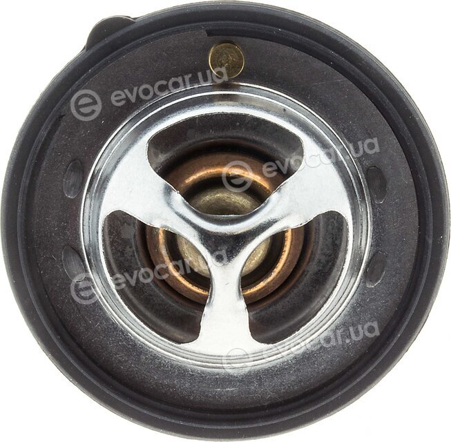 Motorad 545-82K
