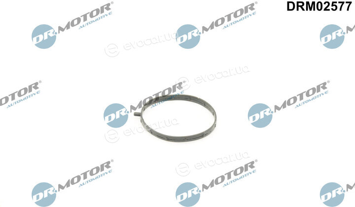 Dr. Motor DRM02577
