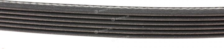 INA FB 6PK2585
