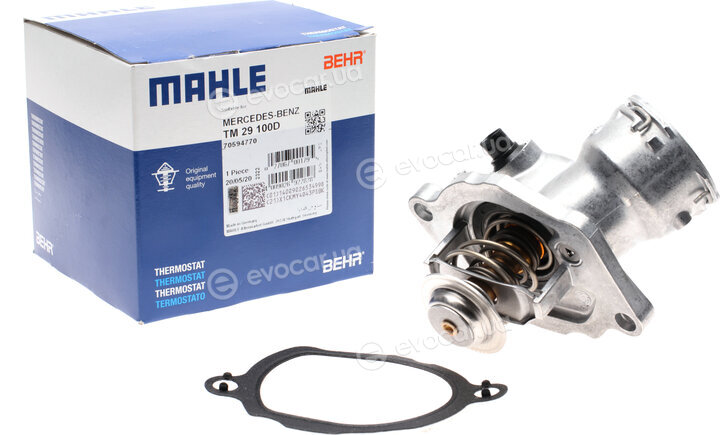 Mahle TM 29 100D