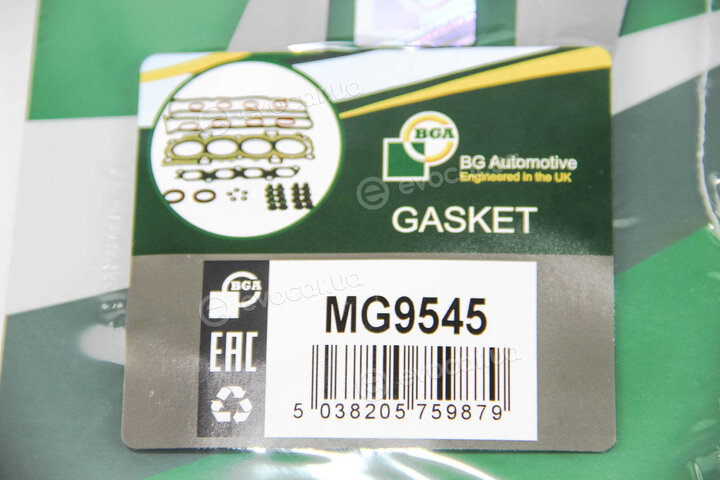 BGA MG9545