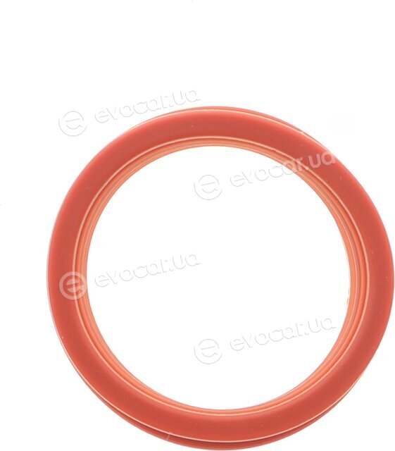 Frey 600500401