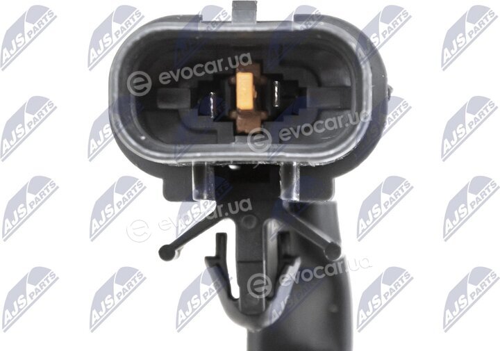NTY EAG-MS-006