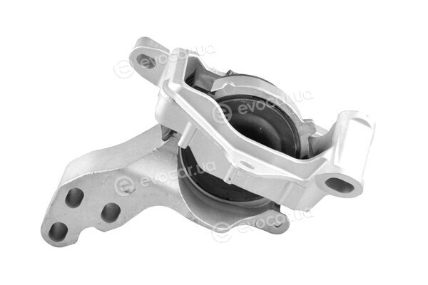 Tedgum TED96317