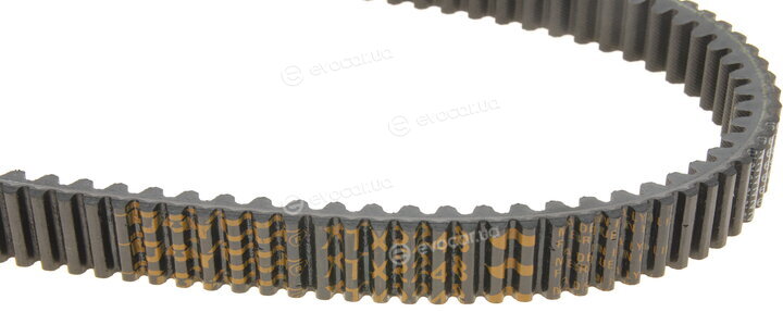 Dayco XTX2248