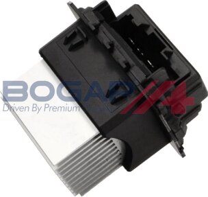 Bogap P4112102