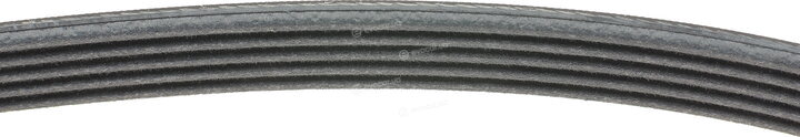 Continental 5PK1680