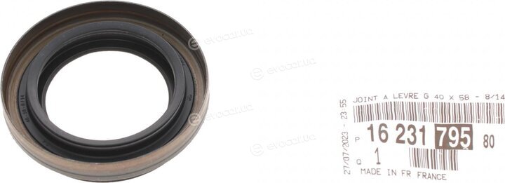Mopar (PSA / FCA) 1623179580