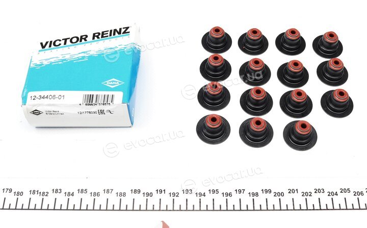 Victor Reinz 02-31655-01
