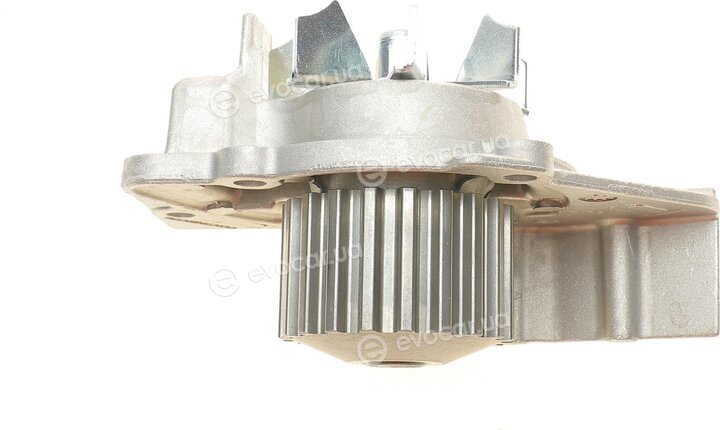 Continental CT986WP2