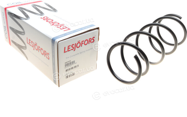 Lesjofors 4027570