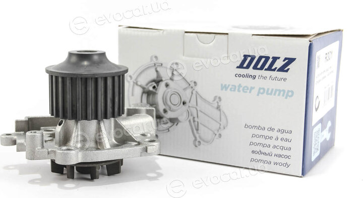 Dolz R301