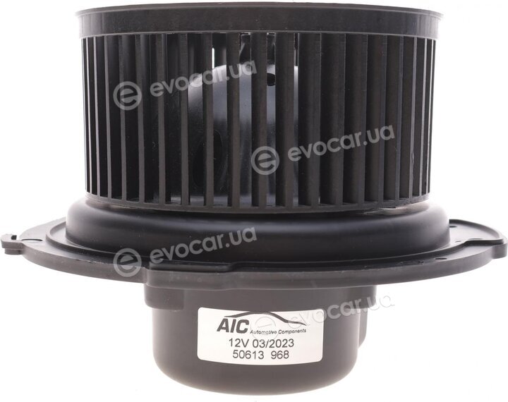 AIC 50613