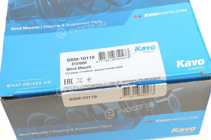 Kavo SSM-10119