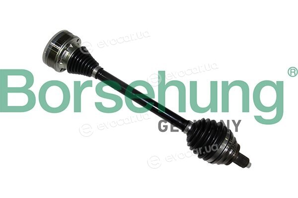Borsehung B17852