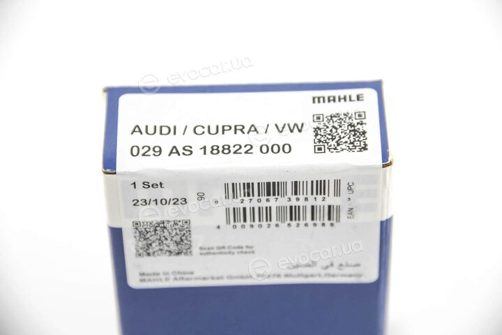 Mahle 029 AS 18822 000
