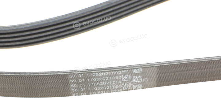 Continental 5PK1715