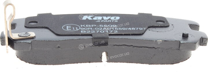 Kavo KBP-5509